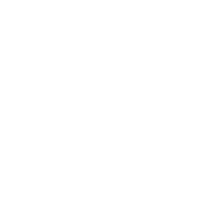 MegaGrant Recipient