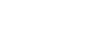 Prismax logo